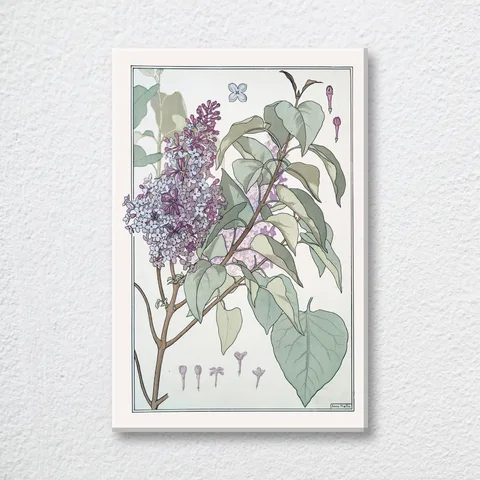 ‘Lilas’ Vintage Wall Art Print