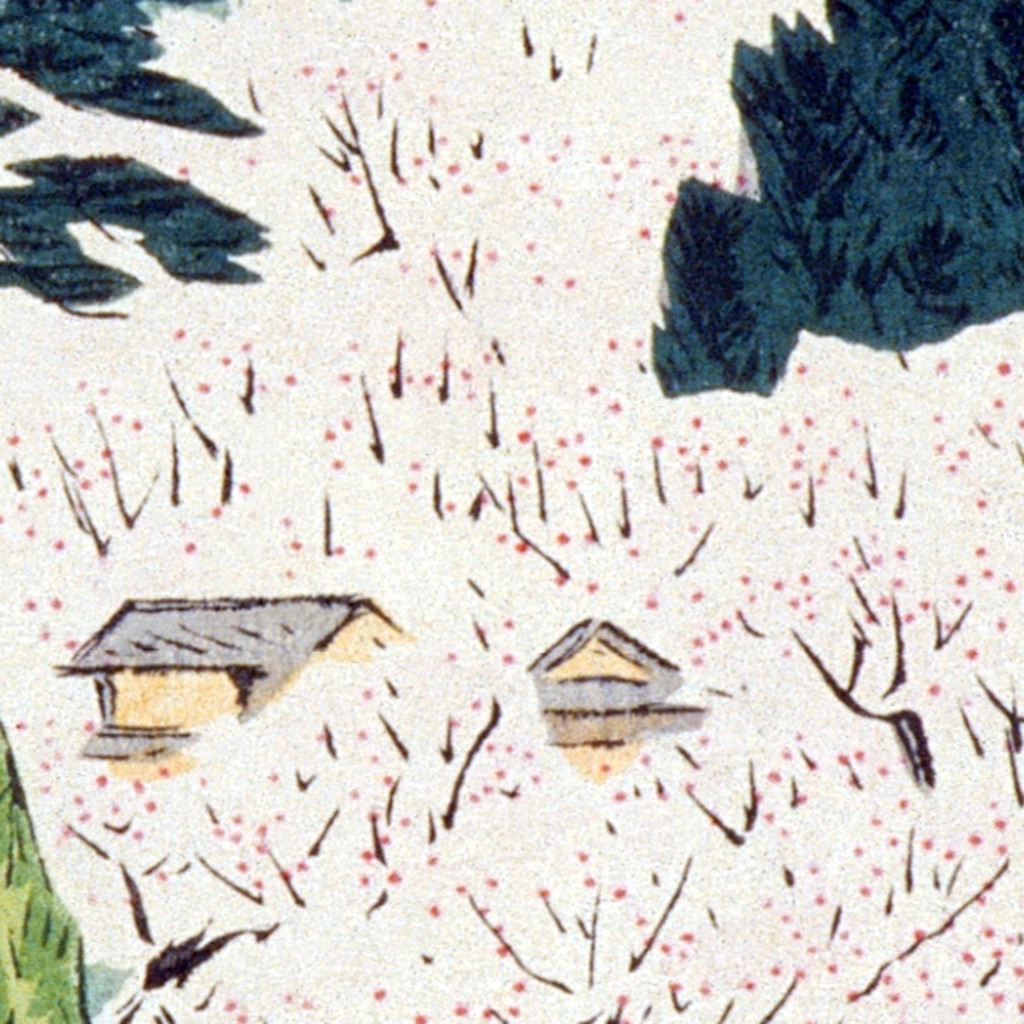 mwa-mount-yoshino-cherry-blossoms-1897-wall-art-poster-print-close-up.webp-mwa-mount-yoshino-cherry-blossoms-1897-wall-art-poster-print-close-up.webp