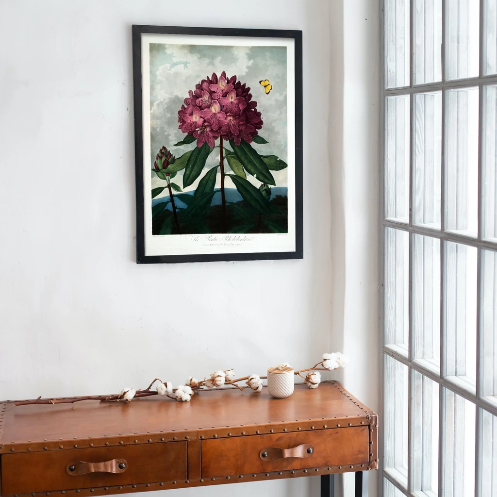 mwa-pontic-rhododendron-1799-1-desk-window-p-wall-art-poster.webp-mwa-pontic-rhododendron-1799-1-desk-window-p-wall-art-poster.webp