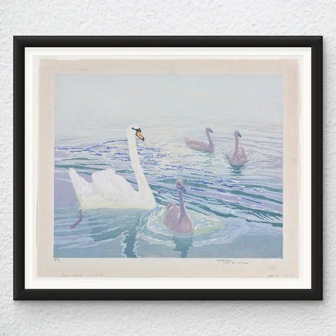 ‘Swans And Cygnets’ William Giles Wall Art Print